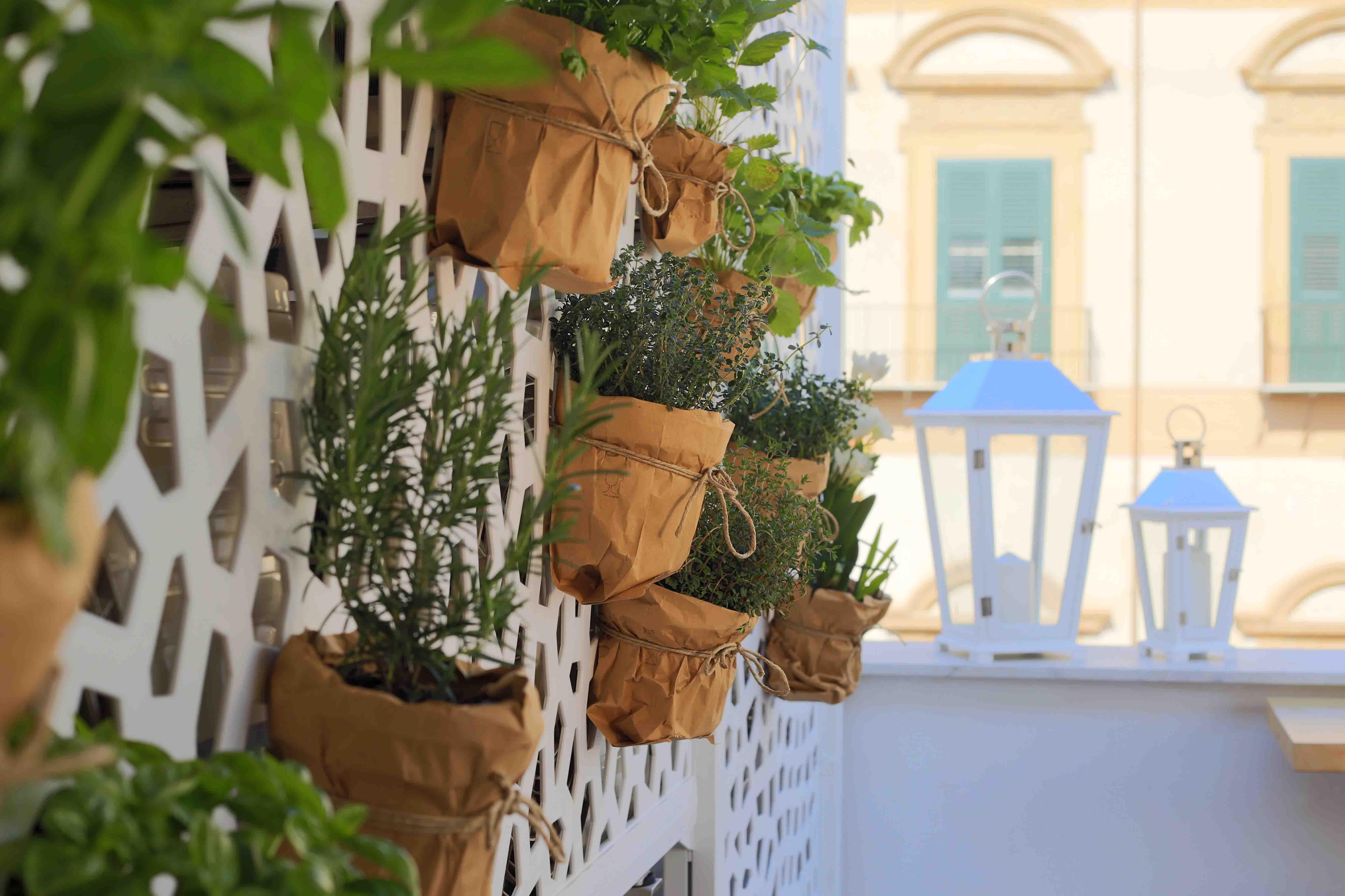 Jardin De France Maison d'hôtes Palerme