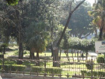 Maison d'hôtes Jardin De France Palerme